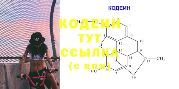 прущие грибы Струнино