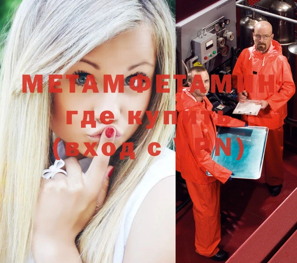 прущие грибы Струнино